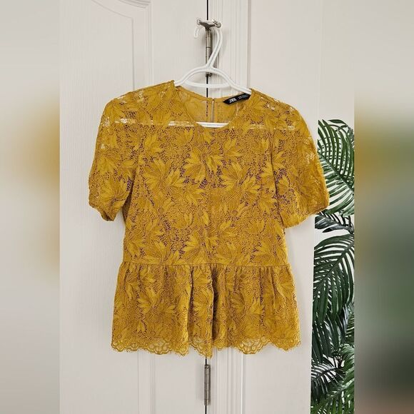 Zara Mustard Lace Peplum Top - Picture 1 of 3
